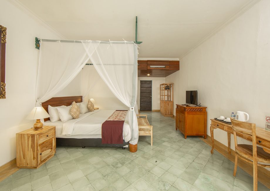 Duplex suite alam puri residence