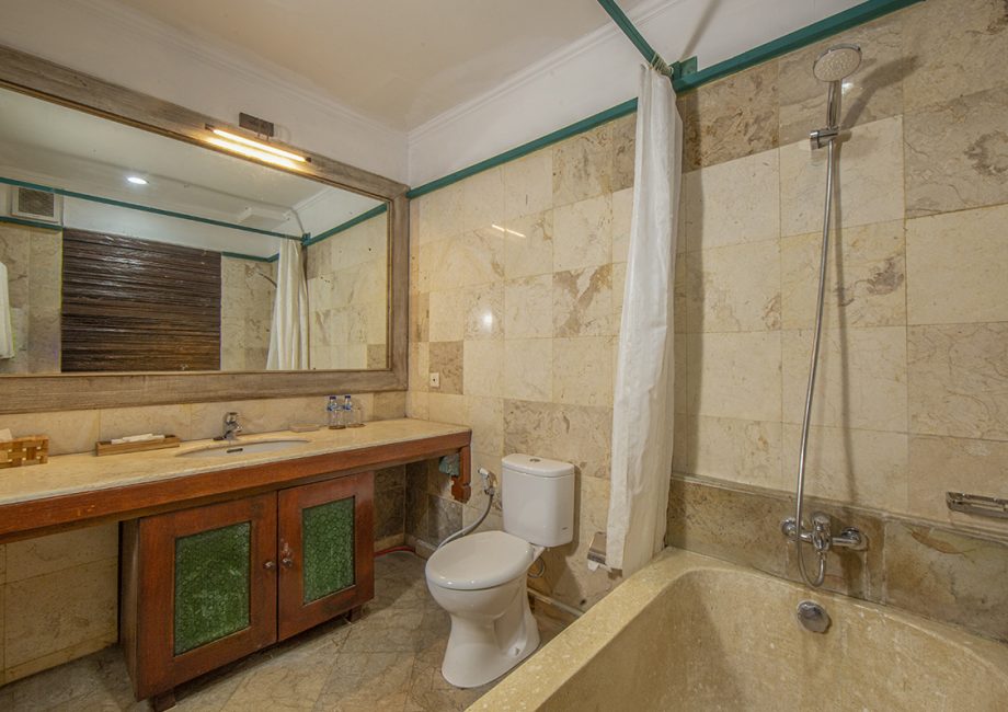 Duplex suite alam puri residence